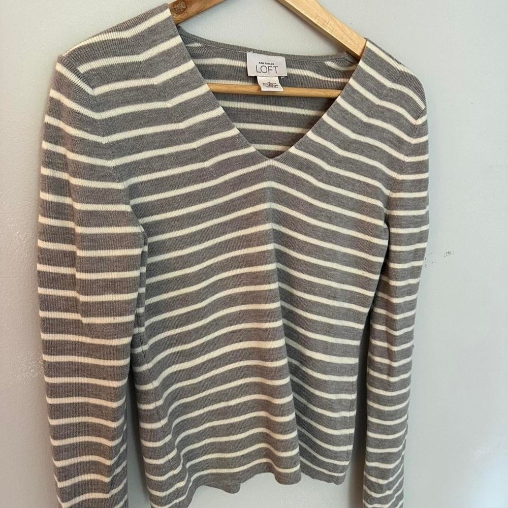 Ann Taylor Loft V Neck Sweater